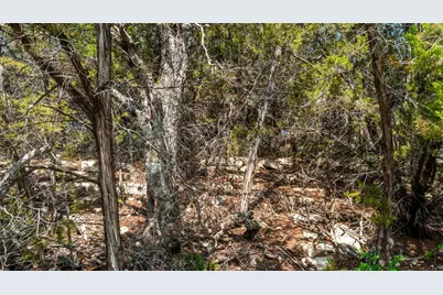 1306 Daviot Drive, Spicewood, TX 78669 - Photo 9