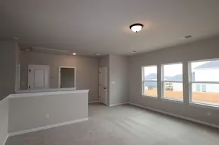 185 Grayson Elm Pass, Dripping Springs, TX 78620 - Photo 11