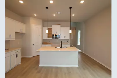 185 Grayson Elm Pass, Dripping Springs, TX 78620 - Photo 3