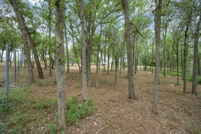 143 Chandler Cove, Cedar Creek, TX 78612 - Photo 5