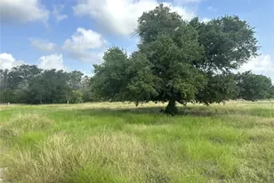 8345 Farm To Market Road 2145, La Grange, TX 78945 - Photo 1