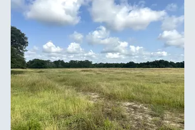 8345 Farm To Market Road 2145, La Grange, TX 78945 - Photo 7