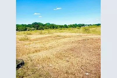 290 Pebblestone Road, Dale, TX 78616 - Photo 3