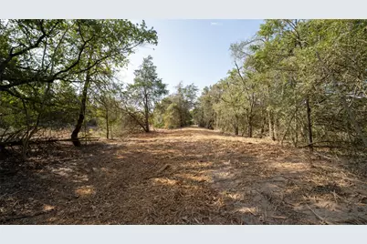 Tbd Tract 8 Cedar Rock Road, Rosanky, TX 78953 - Photo 3