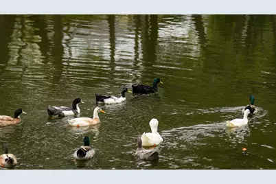 2605 Sam Bass Road #107, Round Rock, TX 78681 - Photo 13