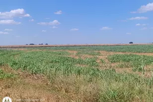 129 County Rd 469, Coupland, TX 78615 - Photo 1