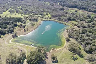 144 Tinctoria Creek, Kyle, TX 78640 - Photo 17