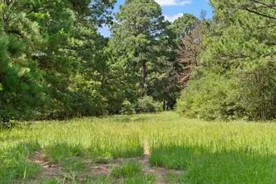 Tbd (Tracts 11 & 12) St Delight Road, Paige, TX 78659 - Photo 23