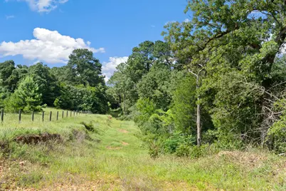 Tbd (Tracts 11 & 12) St Delight Road, Paige, TX 78659 - Photo 37