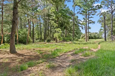 Tbd (Tracts 11 & 12) St Delight Road, Paige, TX 78659 - Photo 5