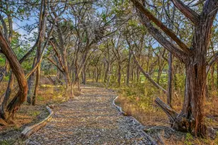 14036 Timberline Trail, Austin, TX 78737 - Photo 35