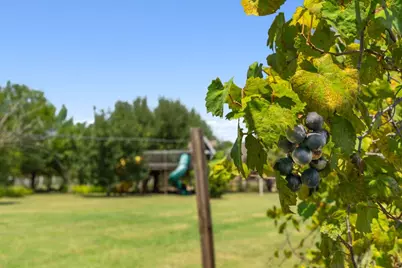 218 Courtnees Way, Georgetown, TX 78626 - Photo 35