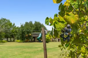 218 Courtnee's Way, Georgetown, TX 78626 - Photo 35