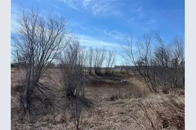 Tbd Roemer Road, Elgin, TX 78621 - Photo 5