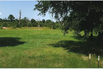 240 Pine Valley Drive, Paige, TX 78659 - Photo 5