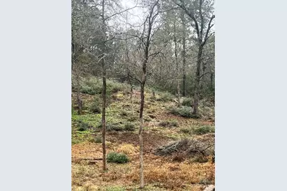 122 Helemano Drive, Bastrop, TX 78602 - Photo 7