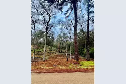 122 Helemano Drive, Bastrop, TX 78602 - Photo 11