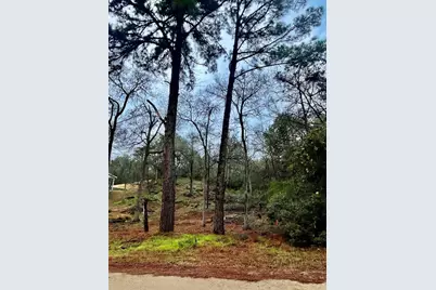 122 Helemano Drive, Bastrop, TX 78602 - Photo 3