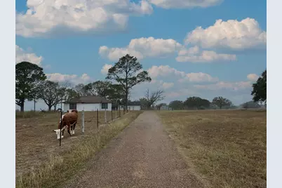 1696 E Fm 884, Yorktown, TX 78164 - Photo 3