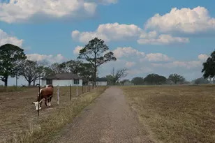 1696 E Fm 884, Yorktown, TX 78164 - Photo 3