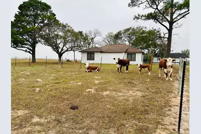 1696 E Fm 884, Yorktown, TX 78164 - Photo 5
