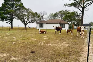 1696 E Fm 884, Yorktown, TX 78164 - Photo 5