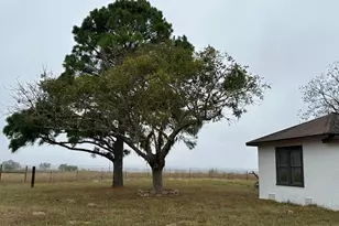 1696 E Fm 884, Yorktown, TX 78164 - Photo 9