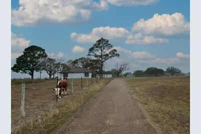 1696 E Fm 884, Yorktown, TX 78164 - Photo 3