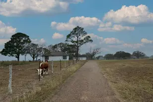 1696 E Fm 884, Yorktown, TX 78164 - Photo 3