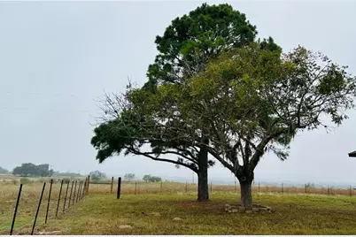 1696 E Fm 884, Yorktown, TX 78164 - Photo 7