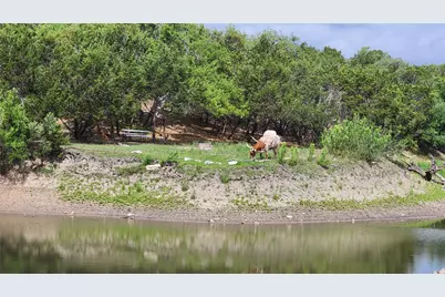 110 Longhorn Lane, Dripping Springs, TX 78620 - Photo 15