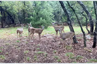 422 Patricia Road, Georgetown, TX 78628 - Photo 19