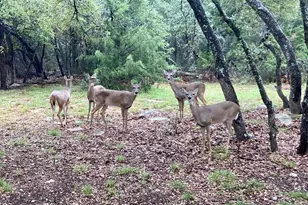 422 Patricia Rd, Georgetown, TX 78628 - Photo 19