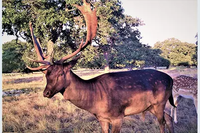 51 Dead End Rd., Mountain Home, TX 78058 - Photo 17