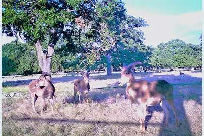 51 Dead End Rd., Mountain Home, TX 78058 - Photo 15