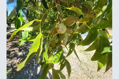 303 E Wolf Street, Granger, TX 76530 - Photo 9