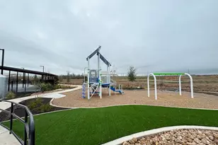 109 Little Sparklers Loop, Hutto, TX 78634 - Photo 39