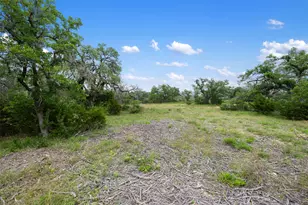 369 SW Crosswater Ln, Dripping Springs, TX 78620 - Photo 5