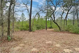 170 Woodland Ct, Bastrop, TX 78602 - Photo 37