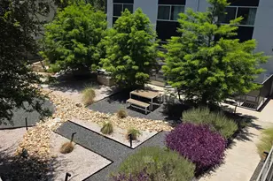 1701 E Martin Luther King Jr Blvd, Austin, TX 78702 - Photo 23