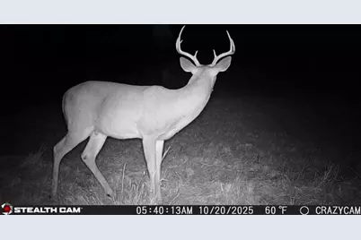 23651 Wolfridge Road, Killeen, TX 76549 - Photo 39