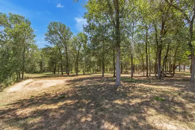 104 Harris Hawk Cove, Cedar Creek, TX 78612 - Photo 33