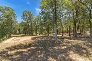 104 Harris Hawk Cove, Cedar Creek, TX 78612 - Photo 33