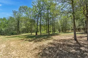 104 Harris Hawk Cove, Cedar Creek, TX 78612 - Photo 31
