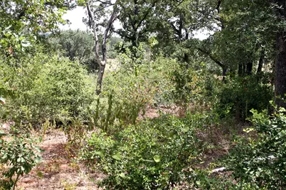 452 Wilhelm Way, Red Rock, TX 78662 - Photo 19
