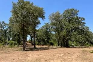 452 Wilhelm Way, Red Rock, TX 78662 - Photo 1