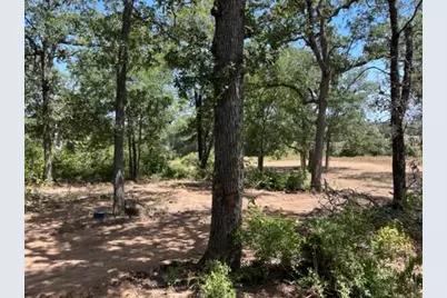 452 Wilhelm Way, Red Rock, TX 78662 - Photo 5