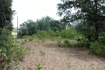 452 Wilhelm Way, Red Rock, TX 78662 - Photo 13