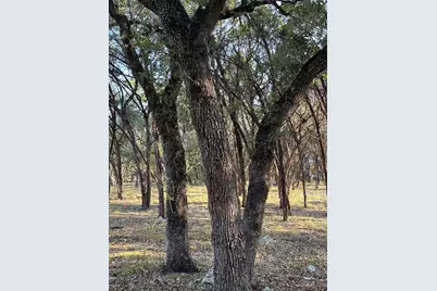 12333A Ranch Rd 12 #1, Wimberley, TX 78676 - Photo 7