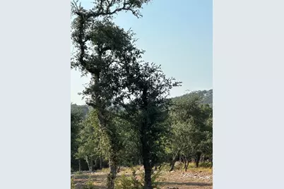 12333A Ranch Rd 12 #1, Wimberley, TX 78676 - Photo 13